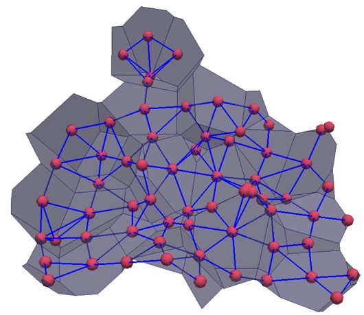 Figure 4. Coupled fluid-solid DLM network)